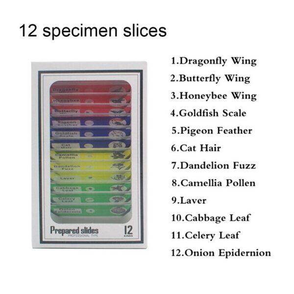 Microscope 1200x Toy - Image 2